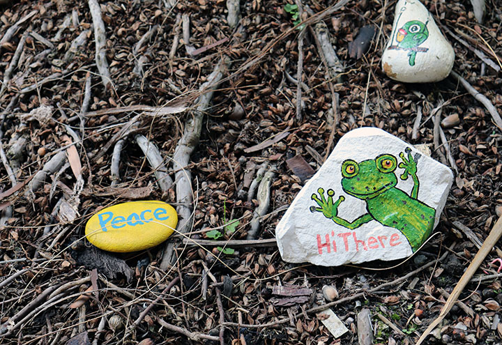 These inspirational rocks are giving some messages to the Bishop Amat family.